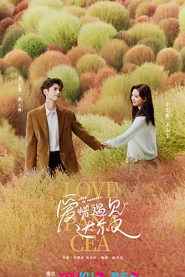 网站快速优化排名销售